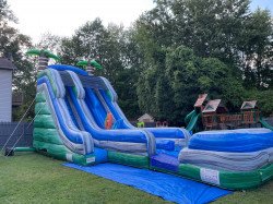 22' Dual Lane Tropical Waterslide